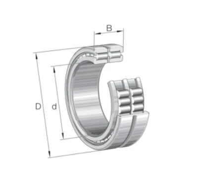 SL185048-TB-BR-C3-2Vòng bi trụ S